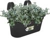 Green Basic Easy Hanger Large lebhaft schwarz Bild 3