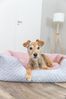 TRIXIE Hundebett Bett Kaline Mio - grau/altrosa - 50 × 40 cm Bild 5