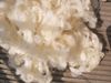 Merino Sommer Bettdecke - Extra-Leicht Steppbett - Garanta Merino 155x220 cm Bild 2