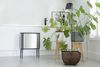 Brabantia 'Bo Touch Bin' Mülleimer, Stahl, 33 (3x11) Liter, Stahl matt Bild 5