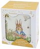 Musical Cube Box Peter Rabbit© - Dragonfly Bild 4