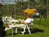 Westfield Outdoors Stuhl Be-Smart Majestic Bild 4