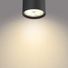 Philips Star Spot 2 flg. schwarz 1000lm Bild 2