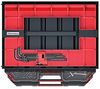 Prosperplast Organizer TAGER CASE, 41,5 x 29 x 29,5 cm Bild 4
