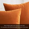 MIULEE 2er Set SAMT Kissenbezug Kissenhülle Dekorative Dekokissen Sofakissen Lendenkissen Wurfkissenbezug mit Verstecktem Reißverschluss Sofa Schlafzimmer 12x20 Inch 30x50 cm Orange Bild 2