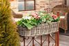 Balkonpflanzer Rattan groß Blumenkasten Pflanzkorb Pflanzschale Blumentopf Bild 5