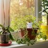 Relaxdays Tonkegel Hase im 4er Set Bild 3