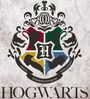 Harry Potter Hogwarts Bettwäsche Kinderbettwäsche HP191061 135x200 cm + 80x80 cm Bild 4
