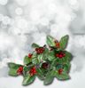 LED Solar-Lichterkette Ilex Stechpalme Girlande Weihnachtsdeko Balkondeko Bild 4