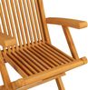 vidaXL Klappbare Gartenstühle 6 Stk. Massivholz Teak 3065529 Bild 3