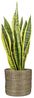 Scheurich Blumentopf black 24/513 Bild 2