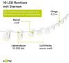 Goobay 57945 10er LED Lichterkette "Rentier" - Timer Funktion warm-weiß 3000 K Batteriebetrieben Bild 3