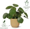 Elho Blumentopf Vibes Fold Ø 30 x 27 cm zartrosa Bild 2
