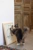Designed By Lotte Kratzbrett Holz-Kratzbrett Sammy Bild 3