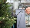 1-2 GLOW Lichterkette Weihnachtsbaum 240cm 880 LED Classic Warmweiß Timer Bild 4