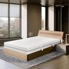 Essence Sleep Kaltschaummatratze - 90 x 200 x 18 cm, 7- Zonen Schaum Matratze mit 1 Kissen, H3 für alle Schlaftypen, Rollmatratze - Atmungsaktiv Bequem und Langlebig, Memory Foam, Öko-Tex Zertifiziert Bild 2