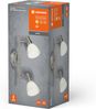 LEDVANCE LED SPOT 2x1. 9W 2700K Bild 5