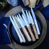 Opinel Tischmesserset Facette 4-teilig Schiefer Bild 5