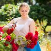 Relaxdays Rosenbogen Metall eckig Bild 5
