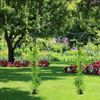 Relaxdays Rosenbogen Metall eckig Bild 2