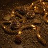 Nipach LED-Lichterkette BI11003 LED Lichterkette Deko-Seil 25 LED 2m Bild 4