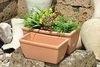 Balkonkasten glatt antik 40 x 18 x 17 cm mit Abflussloch robuster Pflanzkasten für Balkon Terrasse und Garten Bild 2