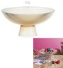 HOME DECO FACTORY, KA0496, Fruit Bowl on Foot in Amber Glass, elegant and Versatile Design, ideal for Fruits and Salads, Capacity 11L, Easy to Maintain, Size 11L, orange Color Bild 3