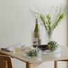 Stelton Pilastro Servierschale 21 cm Clear Bild 3
