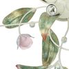 Licht-Erlebnisse Deckenleuchte ROSE, ohne Leuchtmittel, Romantische Deckenlampe Rosa Weiß Floral Blumen Metall Schlafzimmer Bild 4