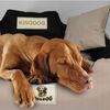King Dog Tierbett 8AA, Hundebett Katzenbett 75 x 65 cm viele Farben Größe M Bild 2