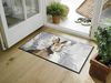 Hopps Bild 2