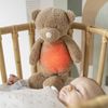 Nattou Nachtlicht Bär, Kuscheltier, Plüsch/Polyester, 19 cm, Sleepy, Braun Bild 5