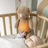 Nattou Nachtlicht Bär, Kuscheltier, Plüsch/Polyester, 19 cm, Sleepy, Braun Bild 3