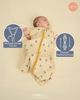 molis&co - Baby Schlafsack 0.5 TOG - Sommerschlafsack für Jungen - Neugeborene Babyschlafsack ohne Ärmel - 100% Baumwolle (Oeko-TEX 100), Premium Qualität - Balloons (60 cm) Bild 3