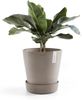 ECOPOTS Blumentopfuntersetzer SAUCER WHEELS Taupe, BxTxH: 41,5x41,5x9 cm Bild 4