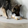 SanoZoo® - Napfunterlage, Öko-TEX - Made in Germany - rutschfeste Futtermatte für Hunde & Katzen, Eckrund 60x60 cm Pflaume Bild 4