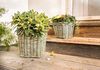 Pflanzer "Rattan" klein Blumenkasten Pflanzkorb Pflanzschale Blumentopf Bild 5