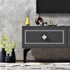 Hanah Home Stylish TV Stand, Anthracite & Silver, 120 x 49 x 29.6 cm | 100% Melamine Coated Particle Board, 18 mm Thick | Modern Design for Living Room & Entertainment Spaces Bild 4