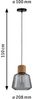 Paulmann No. 79739 Pendelleuchte Neordic Jungle Elia E27 Rauchglas, Kork, Schwarz Bild 2
