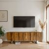 Lowboard Akazie Massiv 160x56x46cm TV-Kommode 3 Türen Metallbeine Modern Bild 3