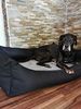 Lebon Orthopädisches Hundebett Noah Plus eckig schwarz Bild 5