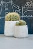 finestgreen Pflanzkübel Handgefertigtes Pflanzgefäß Patt Bild 4