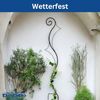 DanDiBo Rankhilfe Garten Metall Schwarz Riva Rankgitter für Kletterpflanzen 145 cm Kletterhilfe Bodenstecker Bild 5