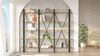 Dmora Bücherregal Albayt, Büroregal, Bücherregal, Bibliothek, 220 x 34 x 180 cm, Eiche Bild 4
