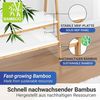 Garderobenständer mit 2 Schuhablagen FINJA, Holz, WENKO Bild 5