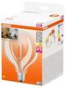Osram LED-Lampe STAR+ GLOWdim globe 7W/827 (60W) filament clear dimmable E27 Bild 4