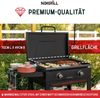 Nexgrill Gasgrill "Daytona", schwarz,2 Brenner Bild 3