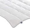 Badenia irisette Gerda Steppbett 155x220 4-Jahreszeiten Bild 2