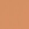 Estella Mako Jersey Spannbettlaken 100/200 apricot Bild 5