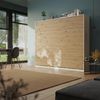SMARTBett Schrankbett Classic mit Gasdruckfedern 100x200cm 140x200cm 160x200cm horizontal/quer oder vertikal/hochkant klappbar Bild 2